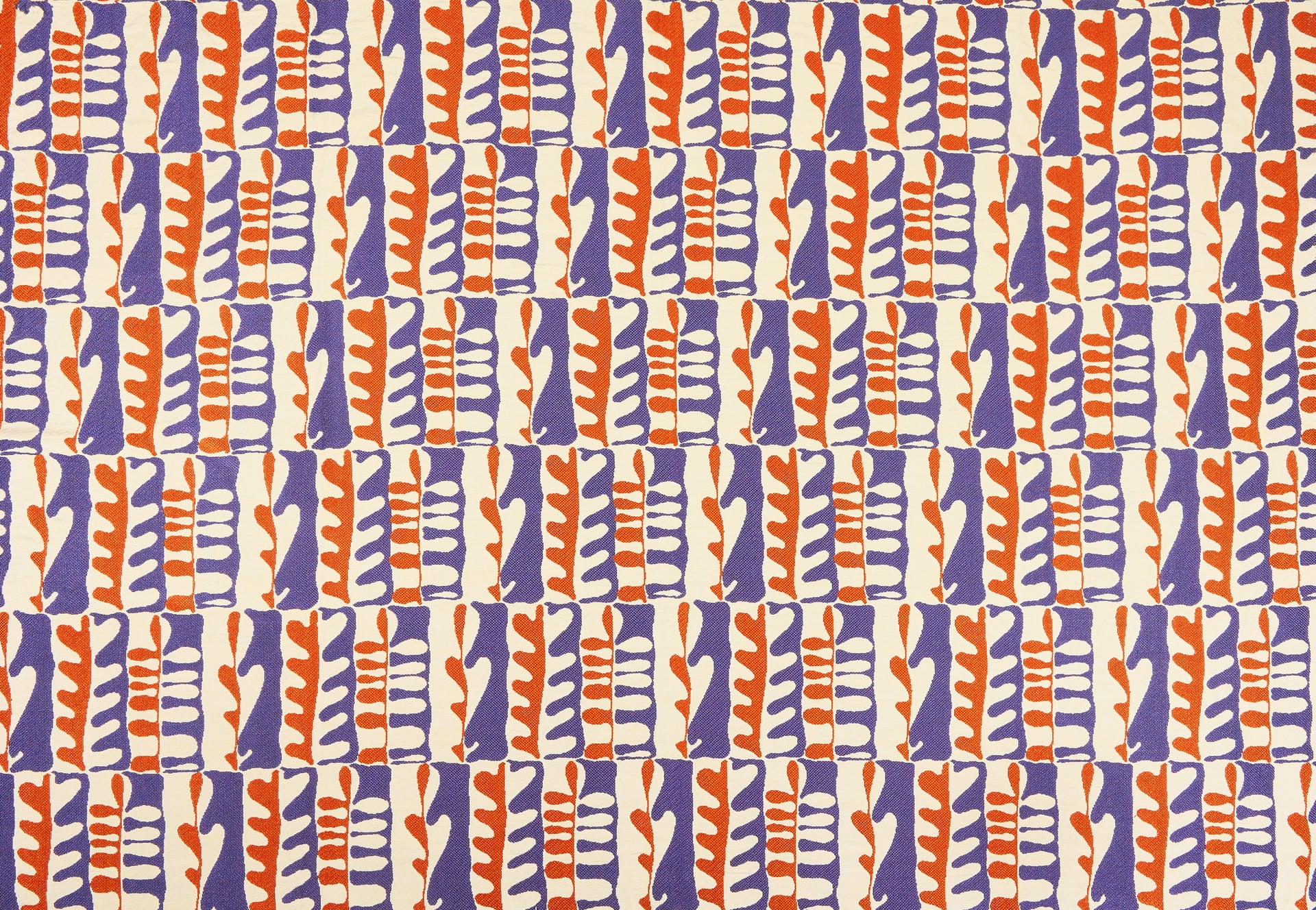 Django  - Laize: 124 cm / 48,82 inch