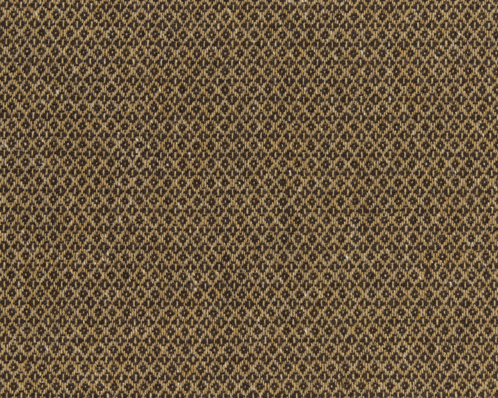 Dingle  - Laize: 150 cm / 59,05 inch