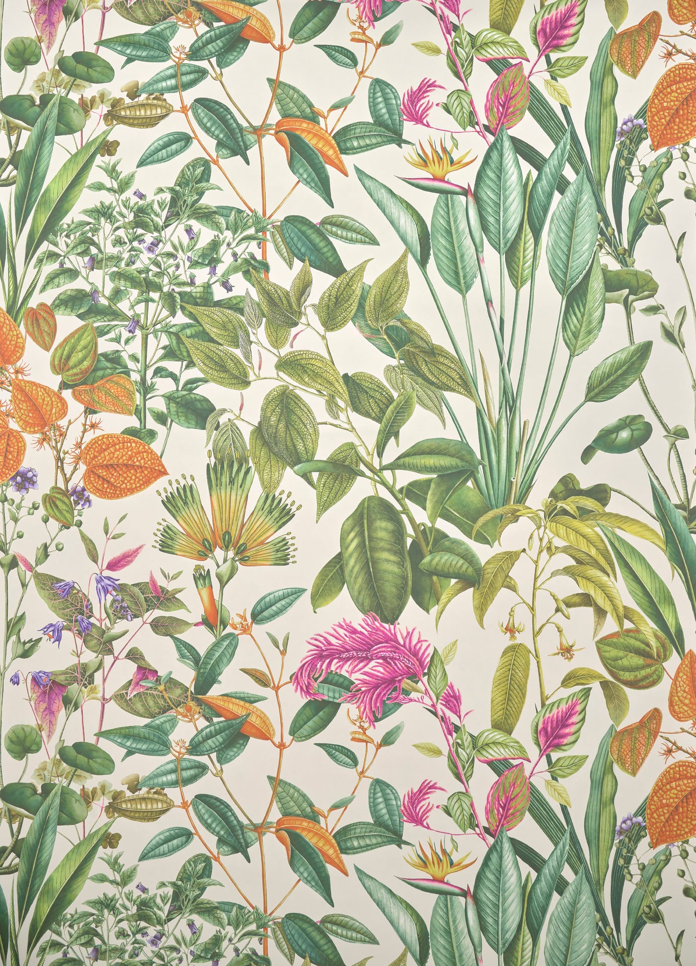 Fantaisie tropicale  - Laize: 137 cm / 53,93 inch