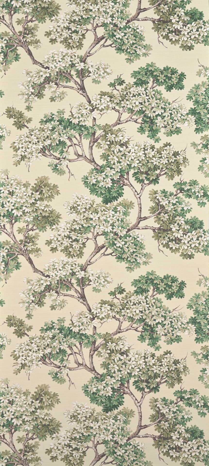 Courtine  - Laize: 68 cm / 26,77 inch