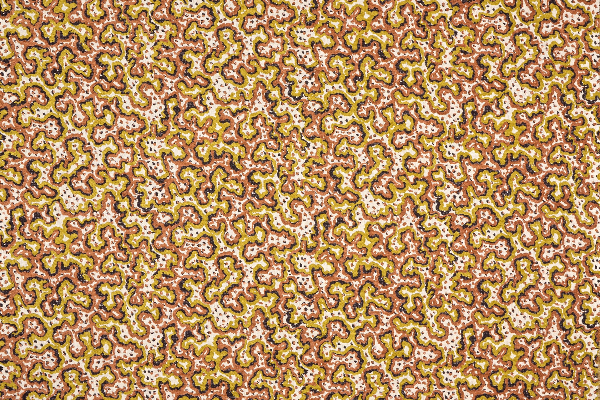 Sinularia  - Laize: 139 cm / 54,72 inch