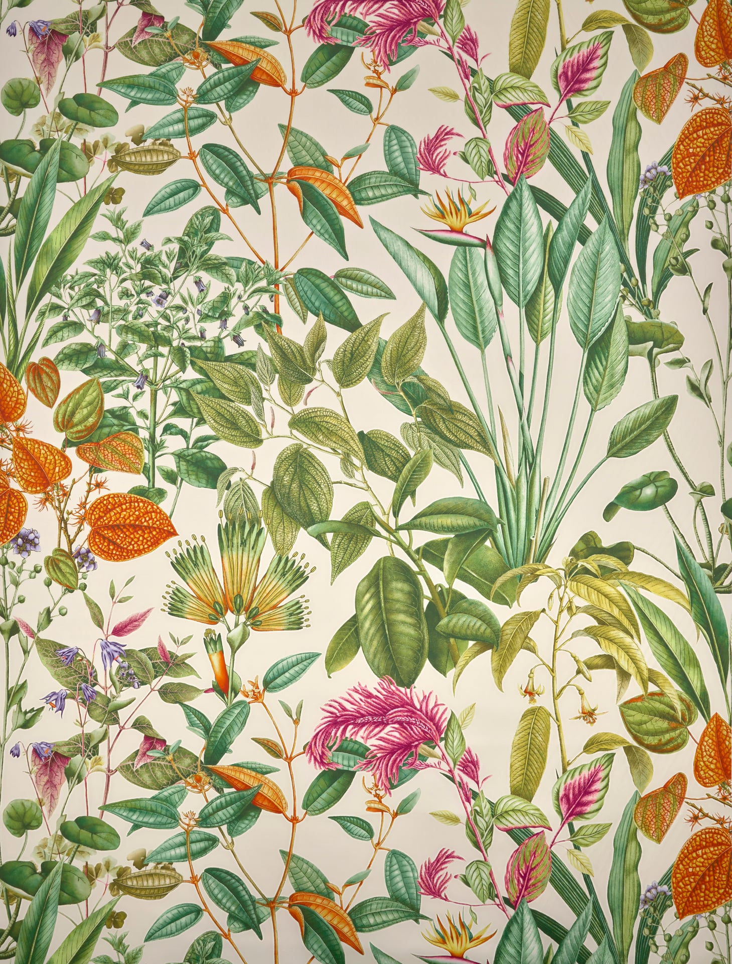 Fantaisie tropicale  - Laize: 138 cm / 54,33 inch