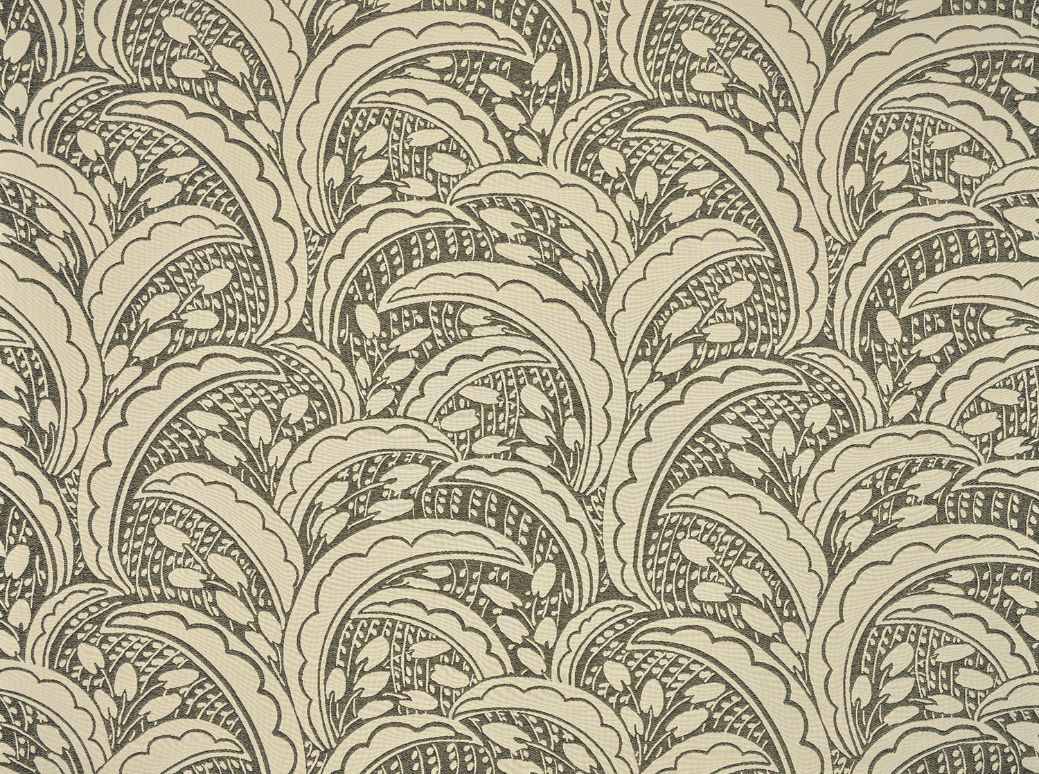 Les dattes  - Laize: 125 cm / 49,41 inch