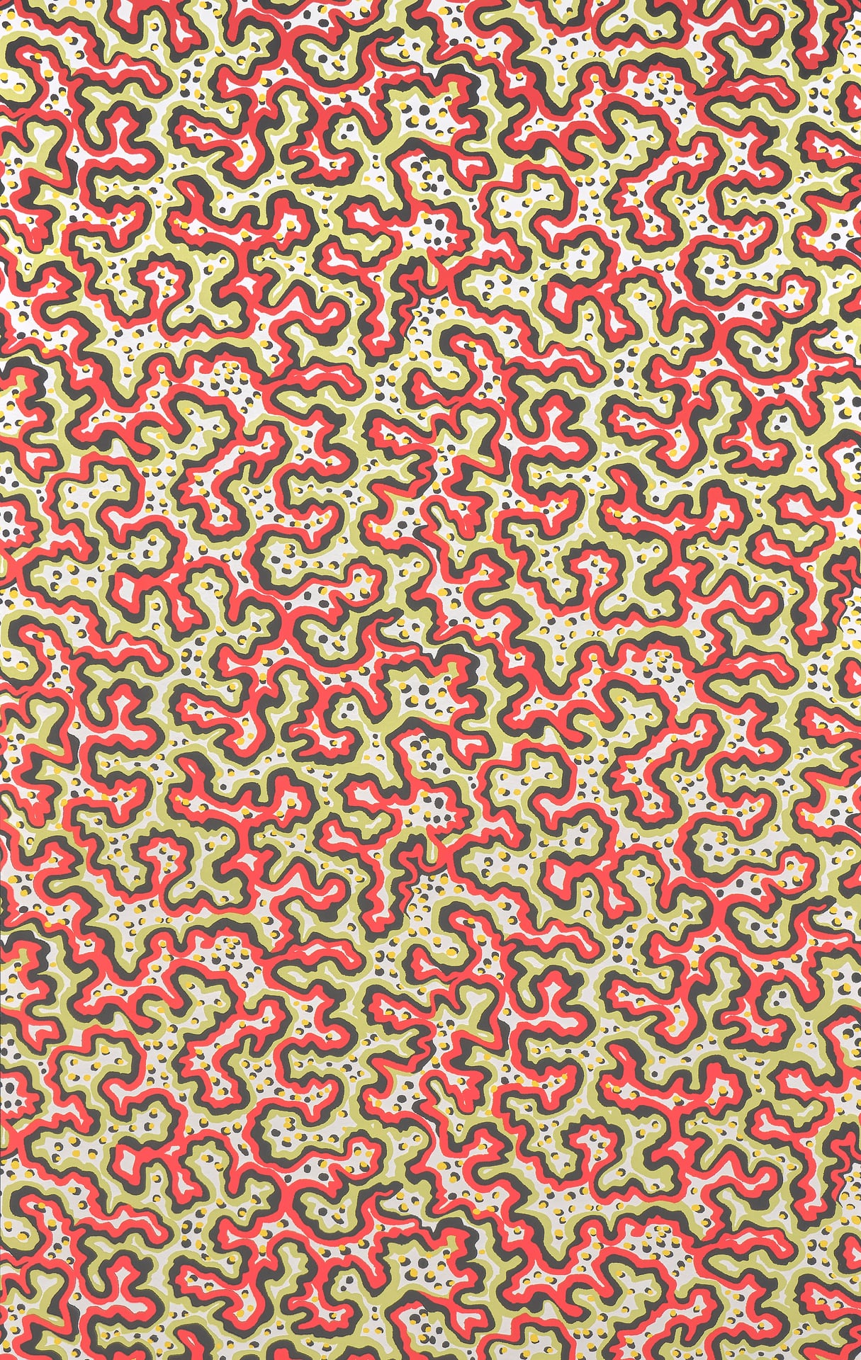 Sinularia  - Laize: 69 cm / 27,16 inch