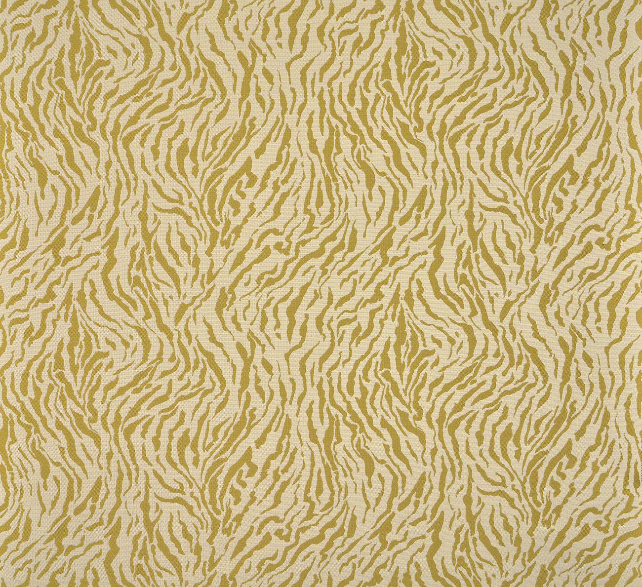 Jaisalmer  - Laize: 124 cm / 48,9 inch