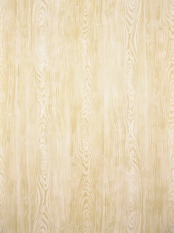 Wallpapers Boiserie-BOULEAU-FP219005 Pierre Frey
