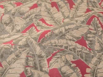 Palm leaf