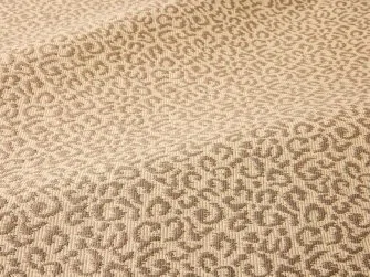 Leopard snow