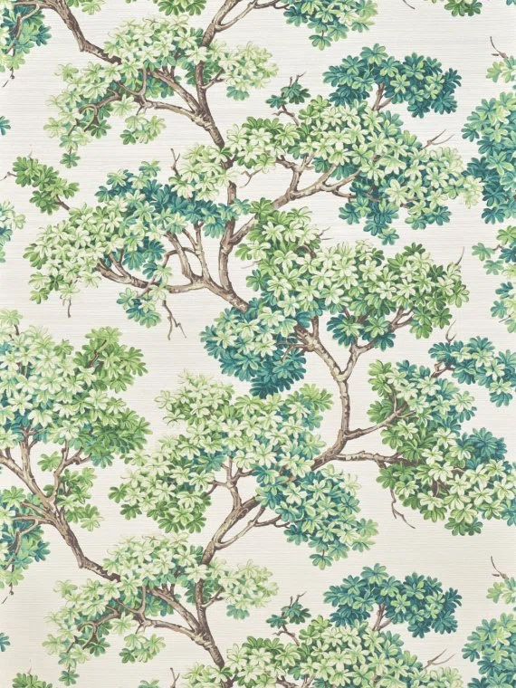 Wallpapers Courtine-VEGETAL-FP279001 Pierre Frey
