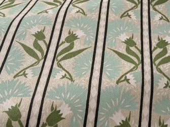 Carnation stripe