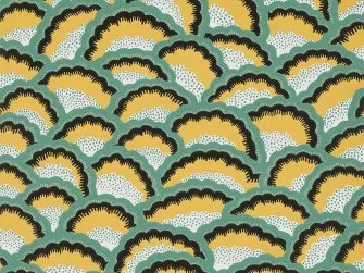 Mimosa