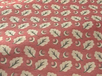 Acorn