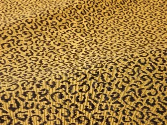 Leopard snow