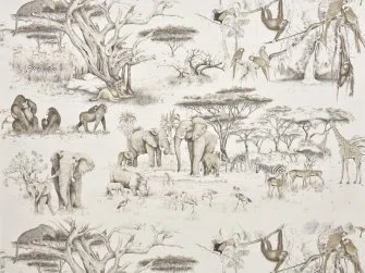 OASIS