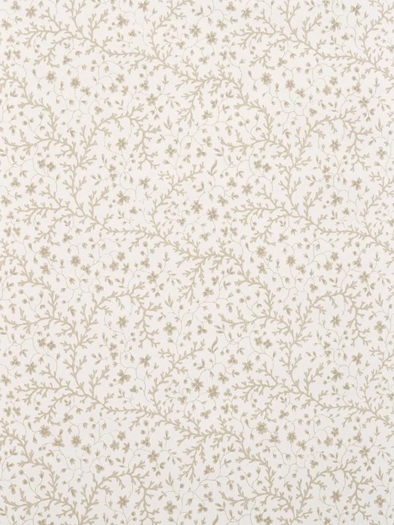 Wallpapers Fleurs de corail-BEIGE-FP787005 Pierre Frey