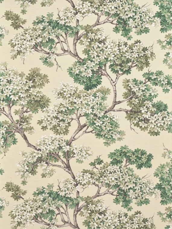 Wallpapers Courtine-FIN D'ETE-FP279002 Pierre Frey