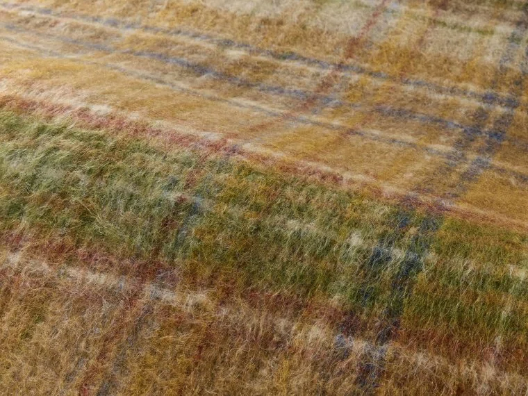 Fabrics Ascot-AUTOMNE-F4157001 Pierre Frey