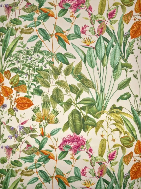 Fabrics Fantaisie tropicale-VÉGÉTAL-F4104001 Pierre Frey