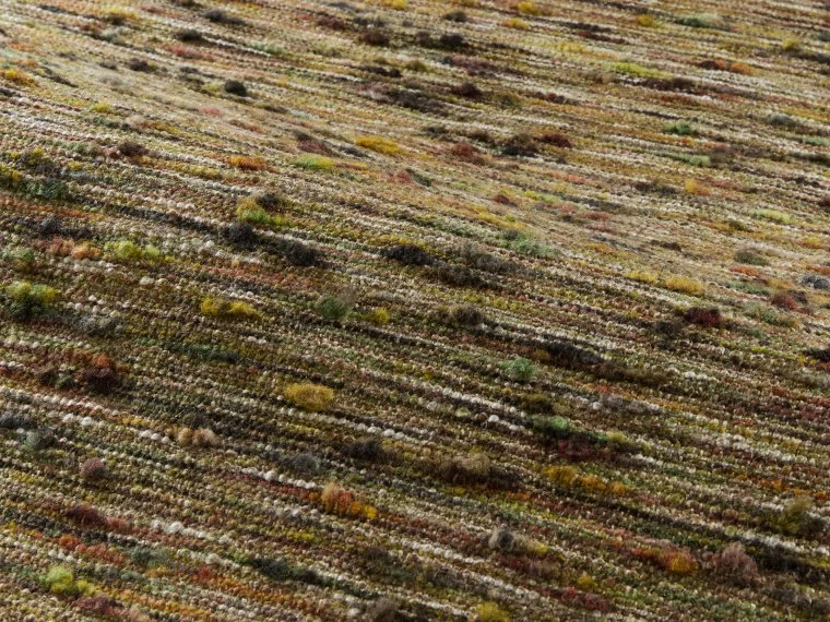 Fabrics Kinsale-PISTACHE-F4151003 Pierre Frey