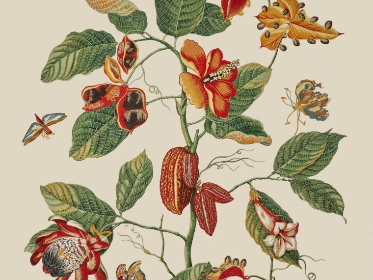 Fabrics Nakai broderie-PRINTEMPS-O7963001 Pierre Frey