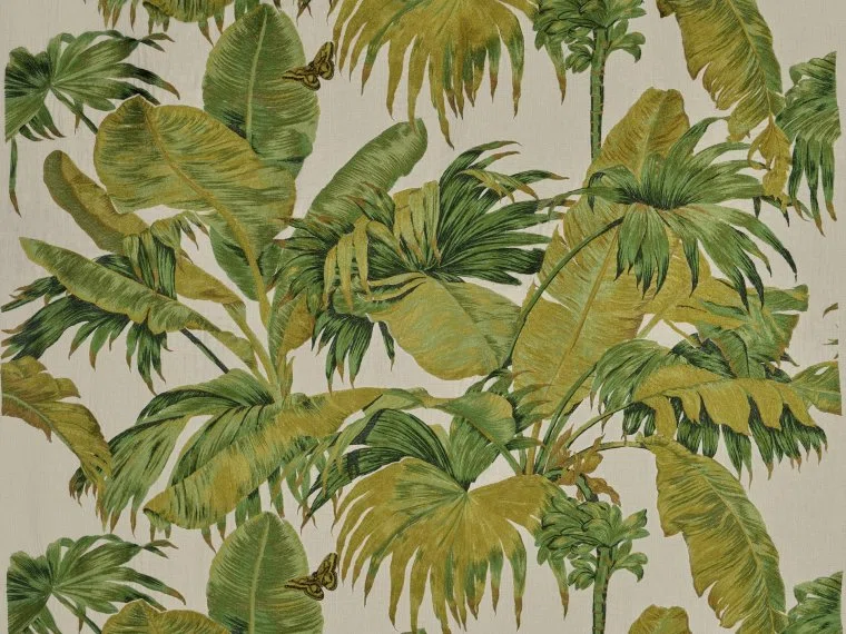 Fabrics Bananier broderie-OLIVE-O7962001 Pierre Frey